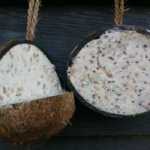 Kokosnoot hele of halve - halve kokosnoot 5 stuks