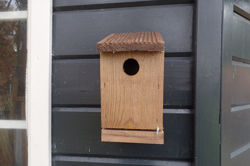 bungeejumpen belegd broodje Beweren Nestkastjes voor vogels kopen? VOERdeNATUUR.nl