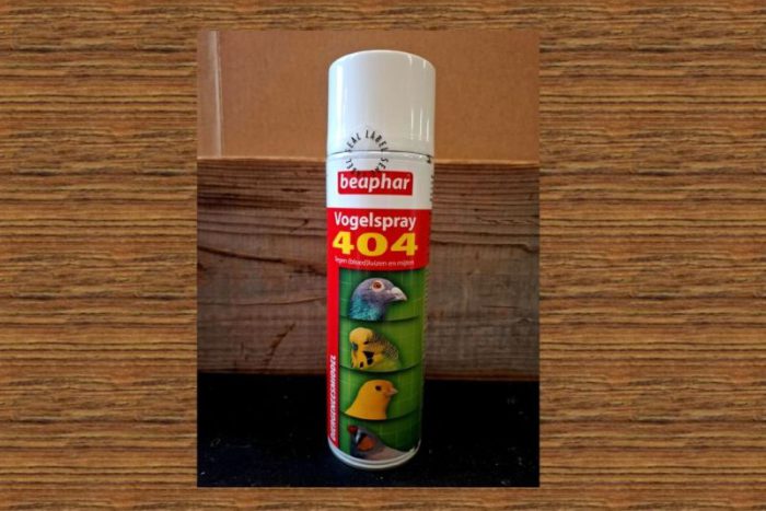 404 spray