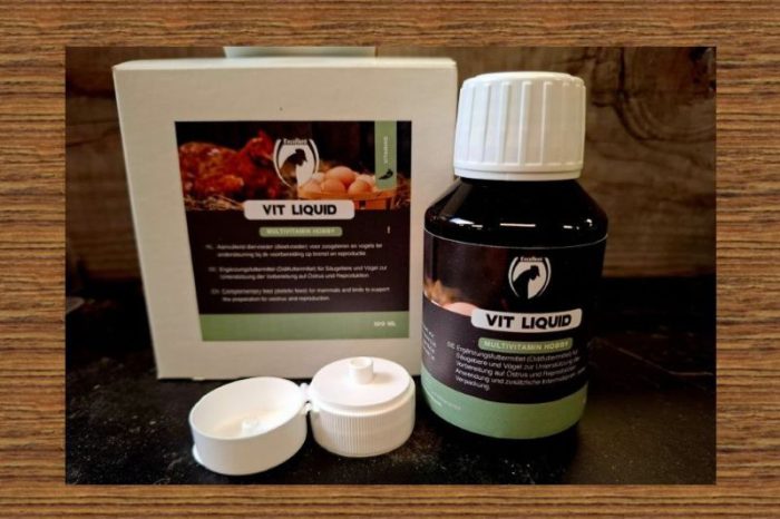 Multi vitamines
